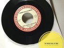 Jimmie Dale Gilmore White Freight Liner Blues/ Trying to Get To You 45 NEAR MINT