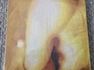 SMASHING PUMPKINS - Pisces Iscariot 2 x LP 180 Gram Vinyl Album