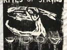 Rites Of Spring - s/t 1985 LP (Fugazi, Slint, Drive Like Jehu)