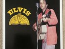 ELVIS PRESLEY - ELVIS AT SUN RCA 2004  Deleted 12” Vinyl LP