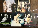 Transvision Vamp 5xPak12