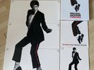 Michael Jackson - VERY RARE- THE TWELVES BOX SET - 7LPS + ONE MORE CHANCE LP