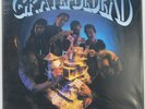 The Grateful Dead • Built To Last • FRIDAY MUSIC 180g vinyl record LP OOP NEW