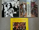 Wonder Stuff Bootlegged Groove Machine and 2x live LPs vinyl