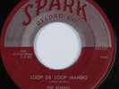 Doo Wop Blues 45 ROBINS Loop De Loop Mambo SPARK HEAR