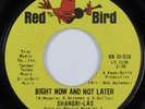 Girl Group 45 SHANGRI-LAS Right Now And Not Later RED BIRD VG+ HEAR