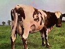 pink floyd atom heart mother vinyl