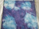 Brian Jonestown Massacre Methodrone 2LP NM/EX/NM Blue Vinyl A Records Dandy Dig