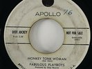 Fabulous Playboys 
