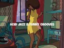 Various Artists - Acid Jazz & Funky Grooves / Various [New Vinyl LP] Italy - Imp