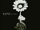 Vast-Music For People RSD 21 VINYL NEW