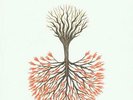 New Music Lungfish 