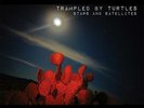 New Music Trampled By Turtles 