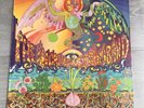 The Incredible String Band The 5000 Spirits 12