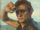 LP Johnny Cash Bitter Tears - Ballads Of The American Indian NEAR MINT CBS