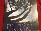 RARE BIRD: EPIC FOREST UK PRESS POLYDOR DELUXE 9449 101 W/ Bonus 7” RARE
