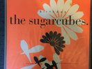 The Sugarcubes (Bjork) Birthday UK 12