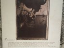 Pixies - Surfer Rosa - LP - CAD803 - 4AD