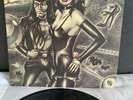 LP The Shocking Blue - Greatest Hits | Japan Only Release | EX+/M