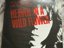Nick Drake, Heaven In A Wild Flower vinyl LP, 1986