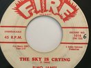 Original Blues 45/ Elmo James 