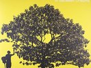 In Between Dreams [Vinyl] Jack Johnson Folk Rock Adult Alternative Disc 1 NEW