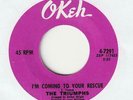 THE TRIUMPHS I'm coming to your rescue Okeh 4 7291 Classic northern soul 2nd iss