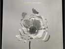 THE NAKED AND FAMOUS In Rolling Waves 180g 2LP New Vinyl