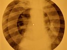 Creedence Clearwater Revival - Travelin Band OF USSR X-RAY BONE RECORD