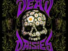Dead Daises - Holy Ground (Vinyl)