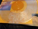 Bad Religion The Process Of Belief Clear Vinyl