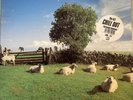 klf chill out Vinyl 1990 JAMS LP5 Original