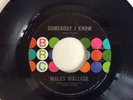 Wales Wallace  Somebody I Know   70’s Northern Soul X-over