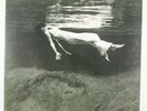 BILL EVANS WITH JIM HALL Undercurrent NM MOBILE FIDELITY SOUND LAB VINYL LP/MFSL