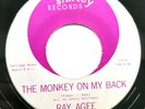 Ray Agee - The Monkey On My Back - Blues R n B 45 - Shirley Records