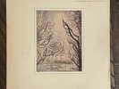 BILL EVANS You Must Believe In Spring 1981 WARNER BROS LP NM vinyl/VG sleeve