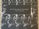 My Life in a Hole in the Ground by African Head Charge (Record, 2016)