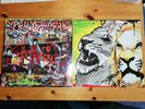 vinyl lp yeah yeah yeahs Picture Vinyl 2003 fever to tell 076061-1