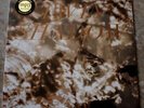 Twin Shadow Forget 2010 LP Vinyl S/S Still Sealed TR005 Grizzly Bear