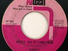 SUNDAY Where Did He Come From / Ain't Got No Problems Alteen Sweet Soul 45 HEAR