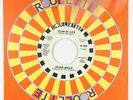 Garage Fuzz 45 - Richie Bruce - Plan My Life - Roulette - mp3 - obscure
