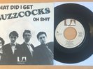 The Buzzcocks What Did I Say Mega Dutch 2x Misprint 7