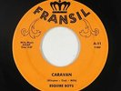 Rockabilly Surf Inst. 45 - Esquire Boys - Caravan - Fransil - VG+ mp3