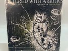 Destroyer Destroyer Littered With Arrows 