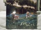 Sonic Youth Murray Street Autographed Record Album (Vinyl, Jun-2002, Goofin')