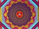 The Grateful Dead Cornell 1977 LP Box Set the holy grail of Dead gigs - NR MINT