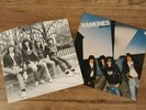 Ramones, Leave Home, Vinyl, 1976 release