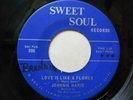 Johnnie Marie – Love Is Like A Flower  Funk / Soul 7 INCH 1960s USA Lab