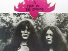 PIP PROUD: BIRD IN THE ENGINE (LP vinyl *BRAND NEW*.)