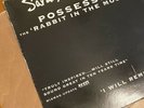 RABBIT IN THE MOON-MONK-Sarah McLachlan-POSSESSION-REMIXES-ARISTA-DJ COPY-?